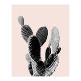 50 (Print Only) thumbnail