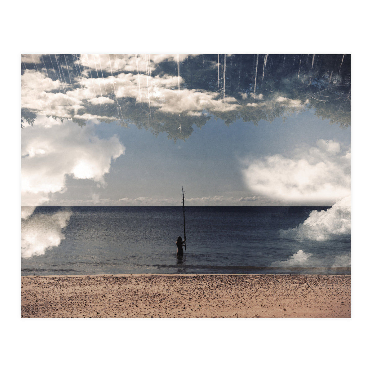 Sea Forest (Print Only)