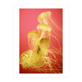 Jelly #7  (Print Only) thumbnail