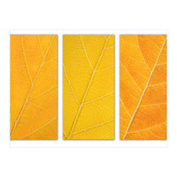 Autumn Leaves (Print Only)