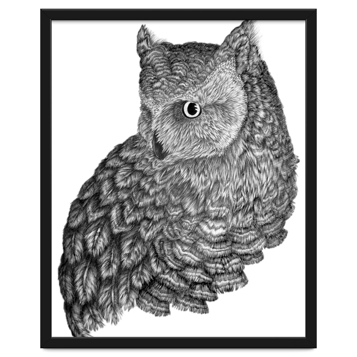 A Friend For Forsythe