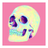 Skull (Print Only) thumbnail