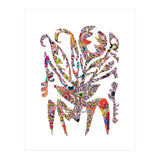 Planta Salvaje 24 Copia (Print Only) thumbnail