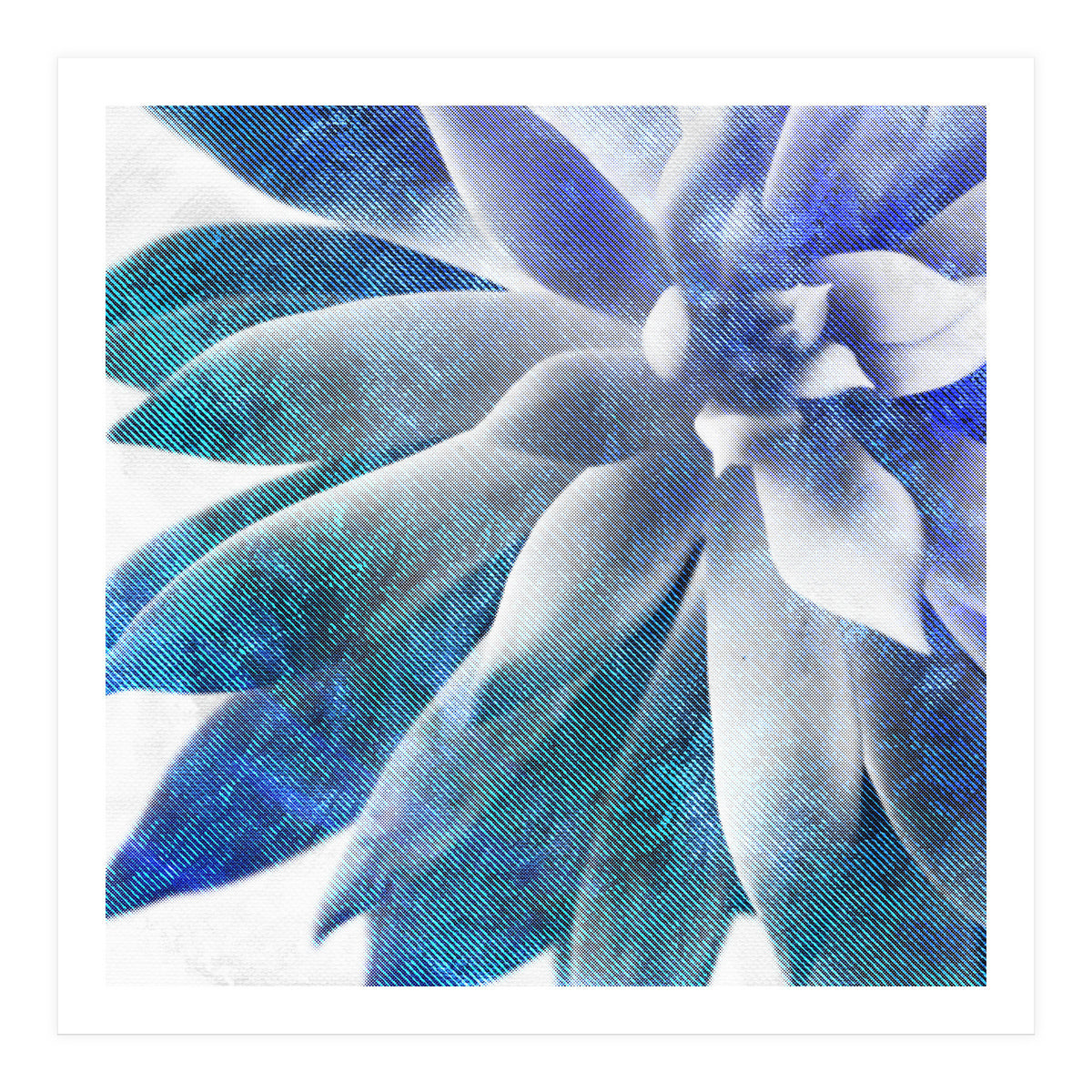 Rough Beauty 3 (Print Only)