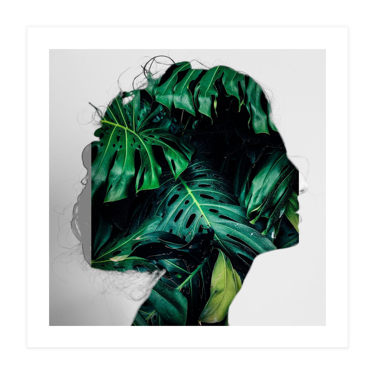 Crazy Woman 208 (Print Only)