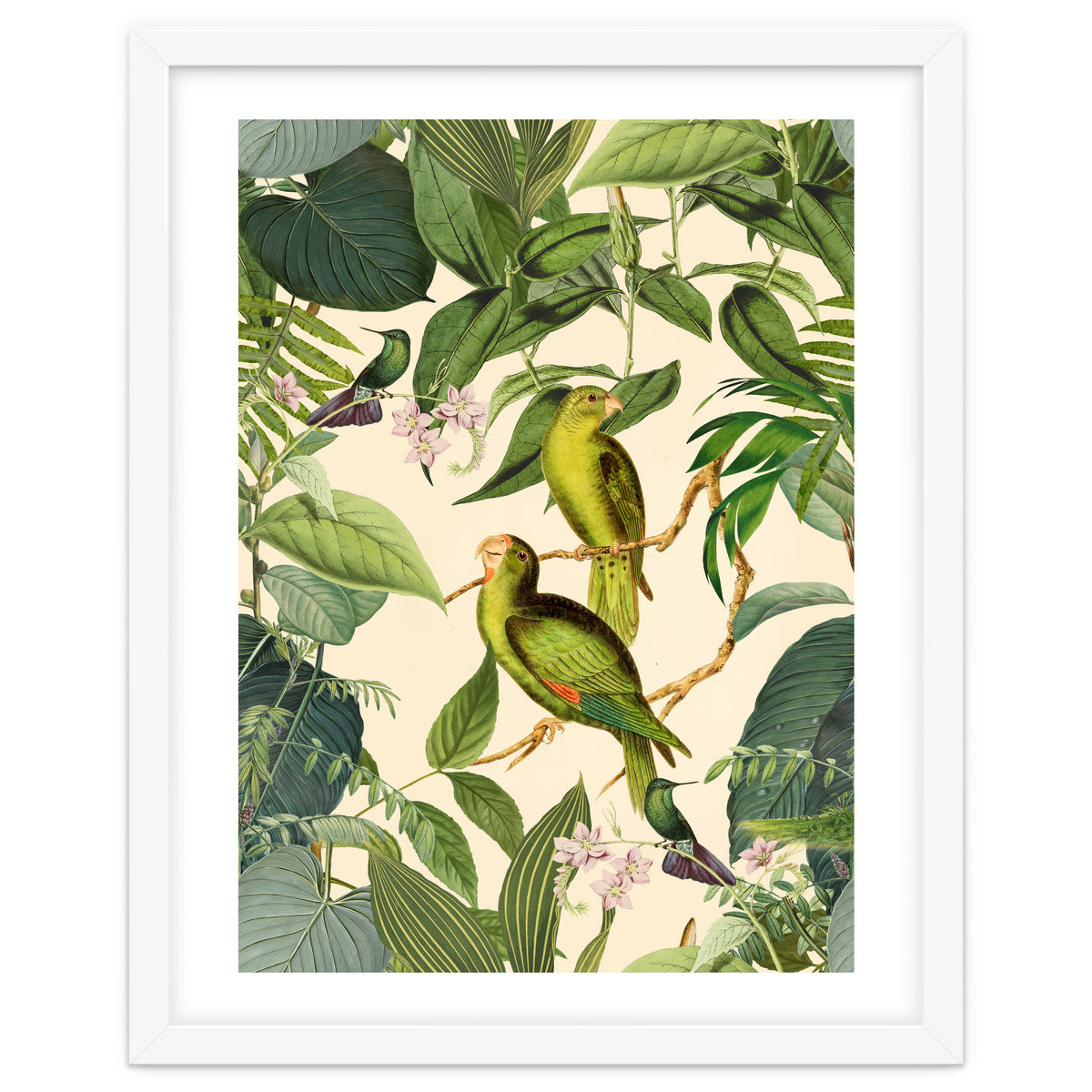 Green Jungle Parakeets