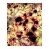 Natural Mechanism (Print Only) thumbnail