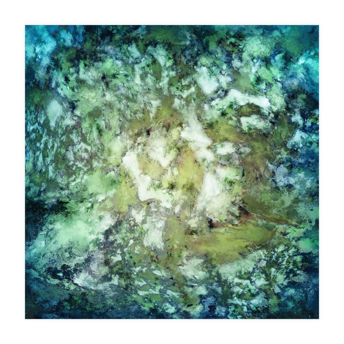 Observation (Print Only)