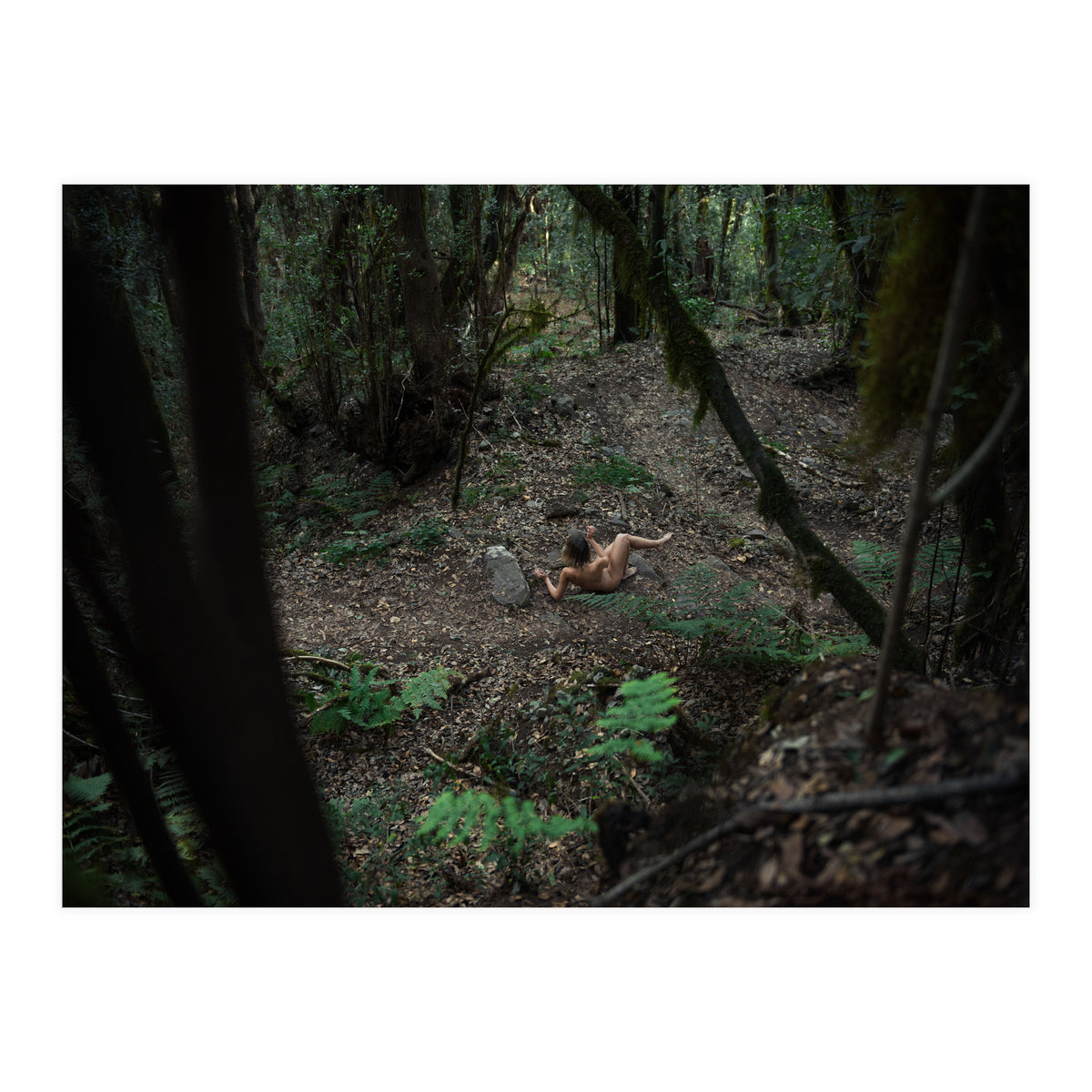 Into the Wild (Print Only)