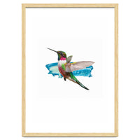 Modern Hummingbird II