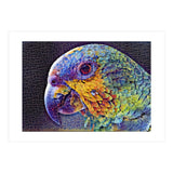 Parrot (Print Only) thumbnail