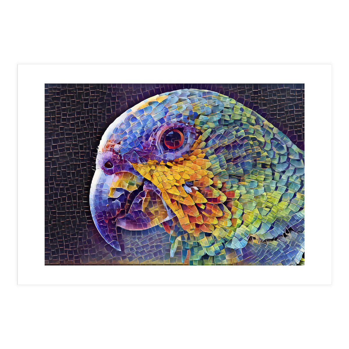 Parrot (Print Only)