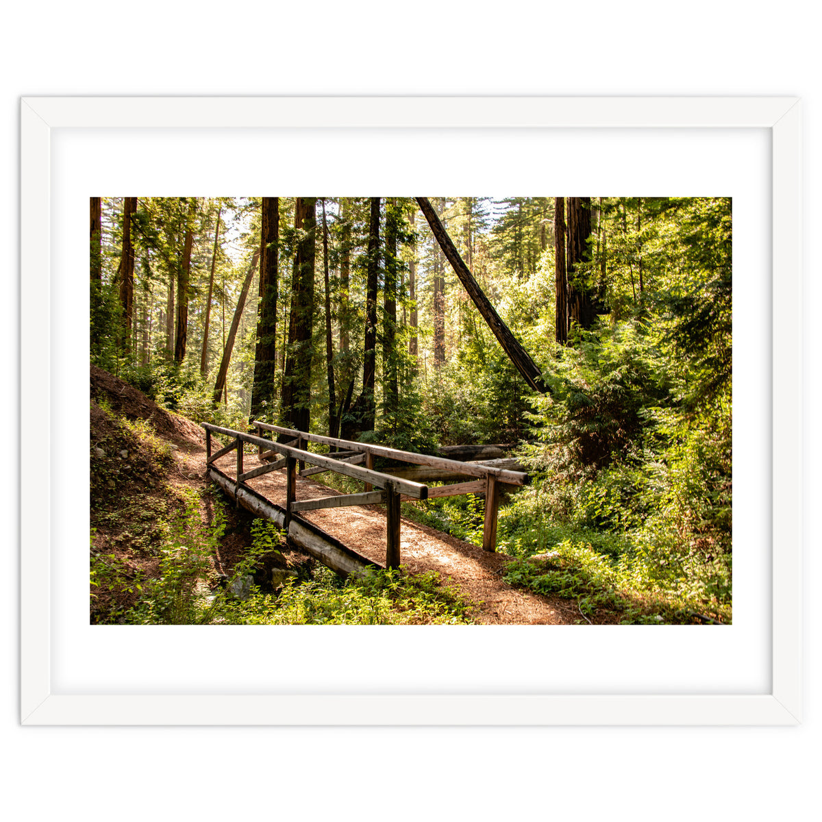 Ewoldsen Trail Bridge