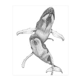 Humpacks no. 1 (Print Only) thumbnail