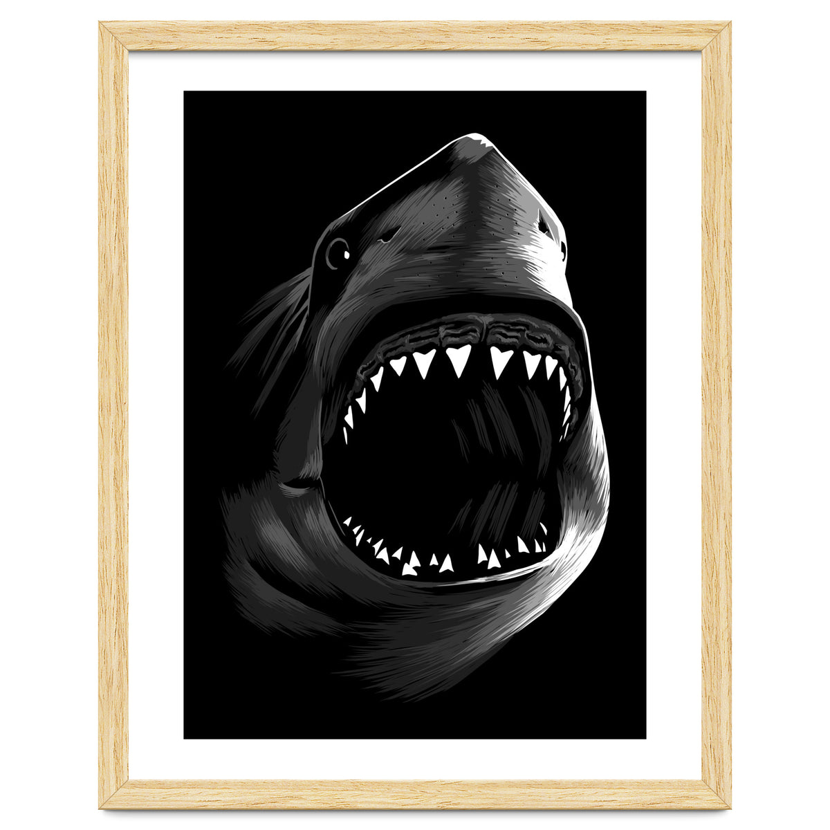 Megalodon