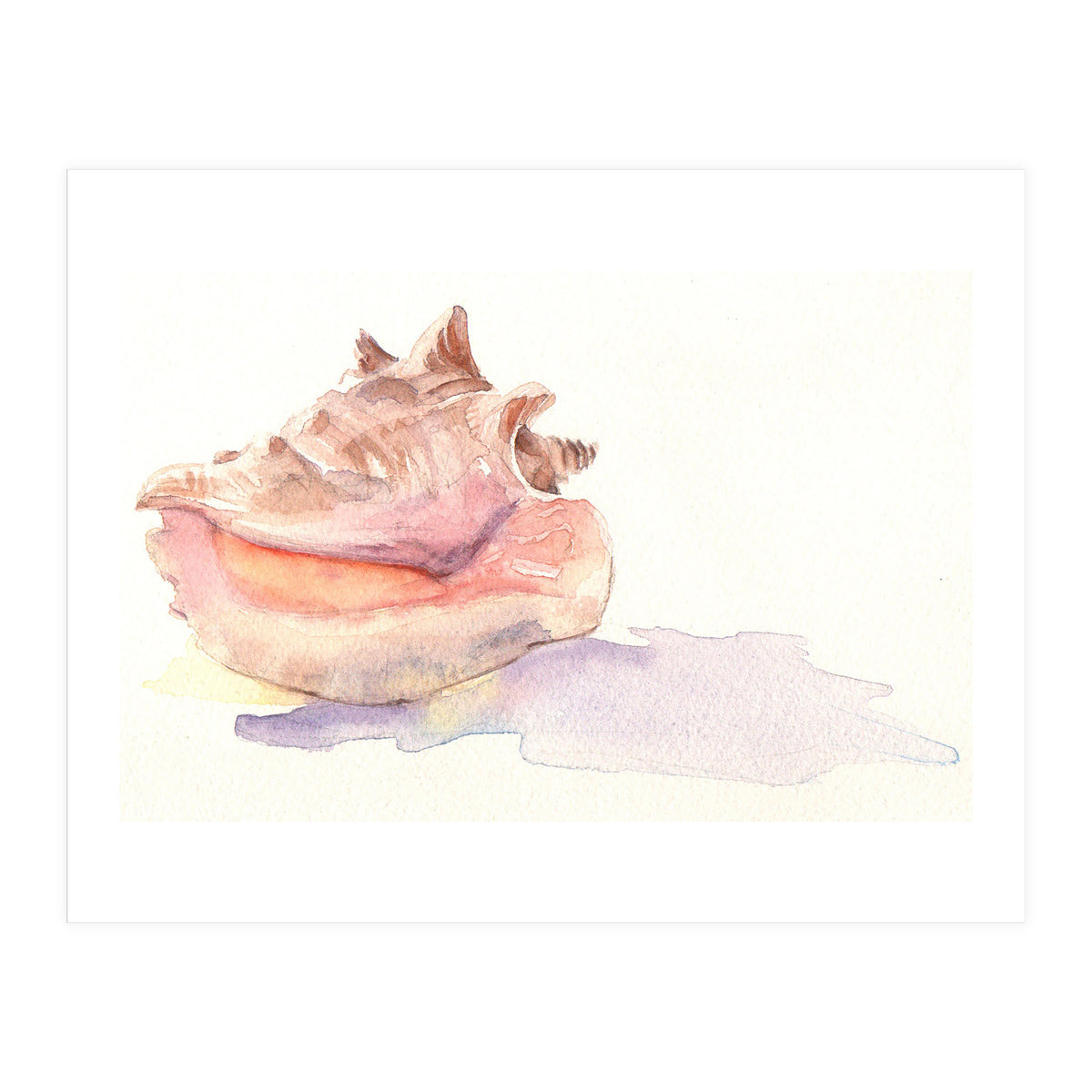 Conch Shell (Print Only)