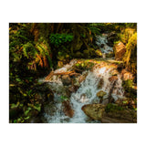 Baker Waterfall (Print Only) thumbnail