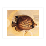 Fish Between Circles 3 (Print Only) thumbnail
