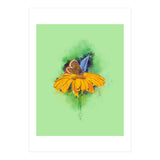 Butterfly 4 (Print Only) thumbnail