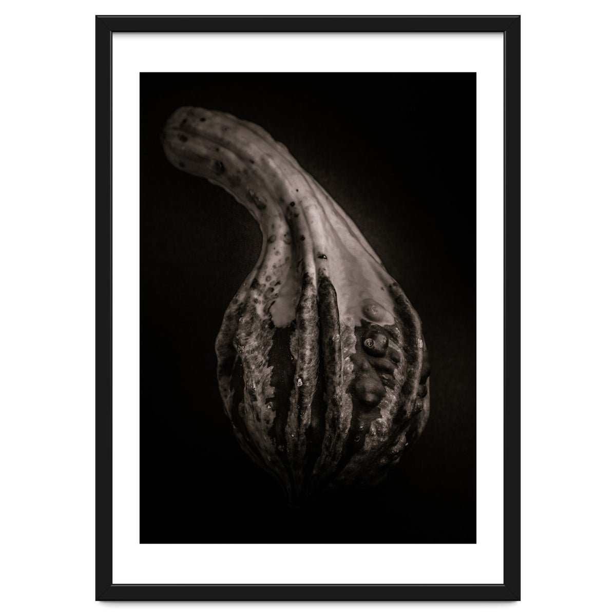 Gourds No 2