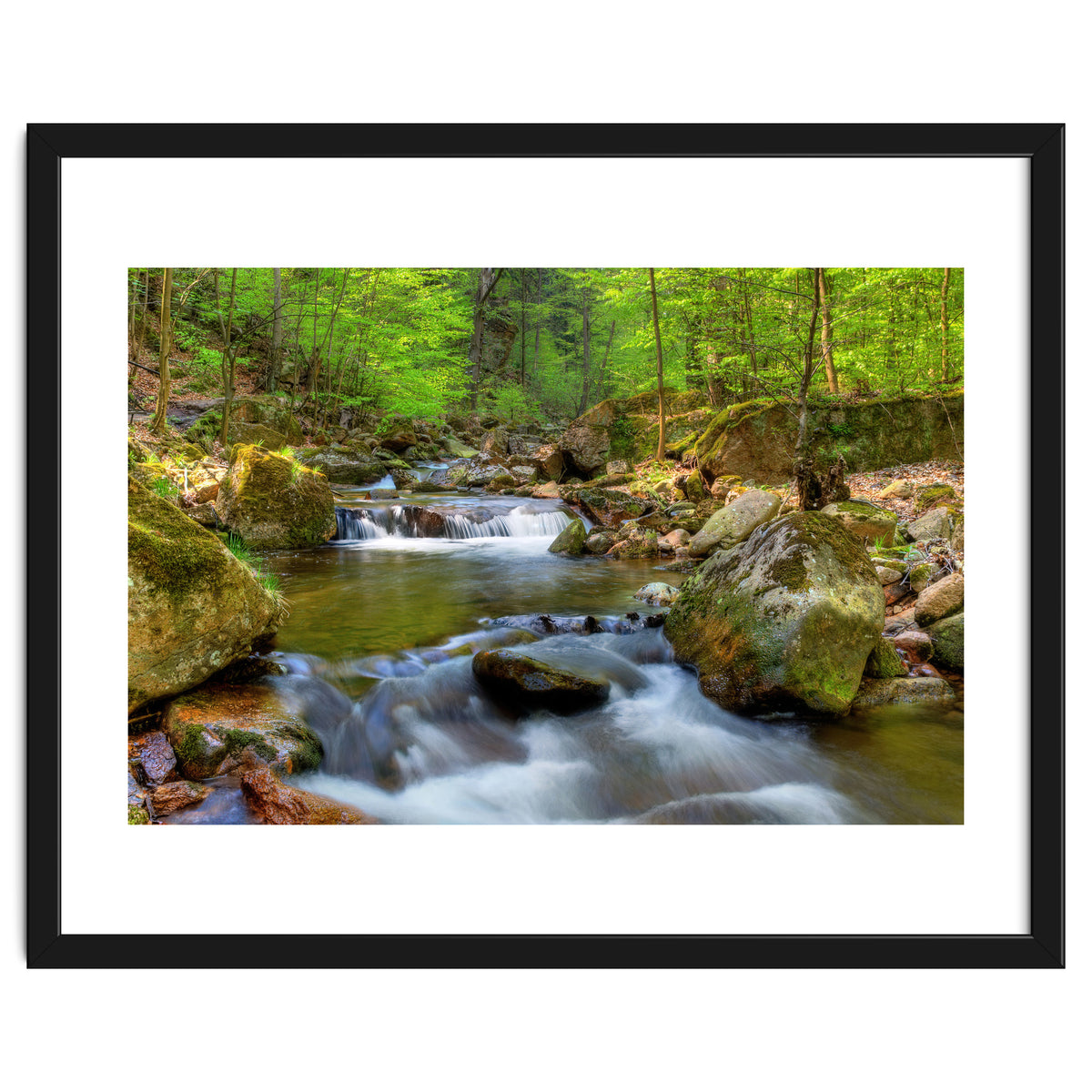 Spring At Harz Moutain