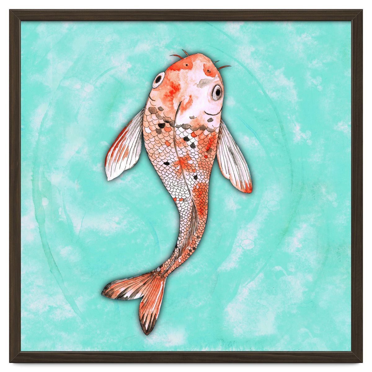Koi fish