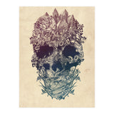 Skull Floral  (Print Only) thumbnail