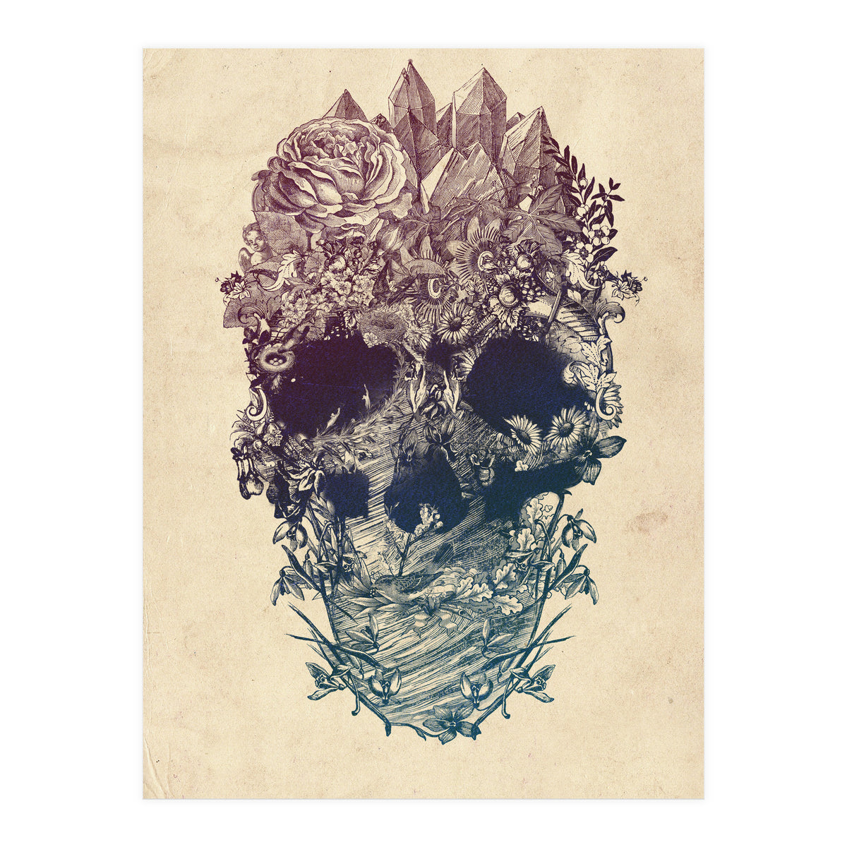 Skull Floral  (Print Only)