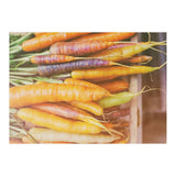 Carrots (Print Only) thumbnail