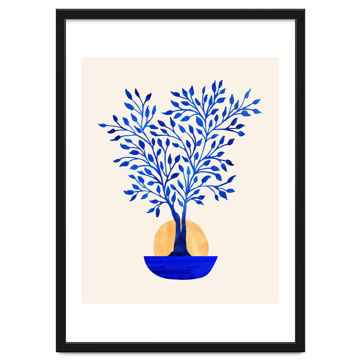 Indigo Ficus Sunrise