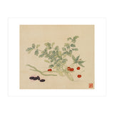 Wang Chengyu~flowers And Vegetables, Vegetables, Fruits, Beans, Red Beans, Cherries, Celery (Print Only) thumbnail