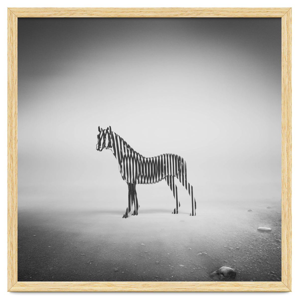 Zebra Mist