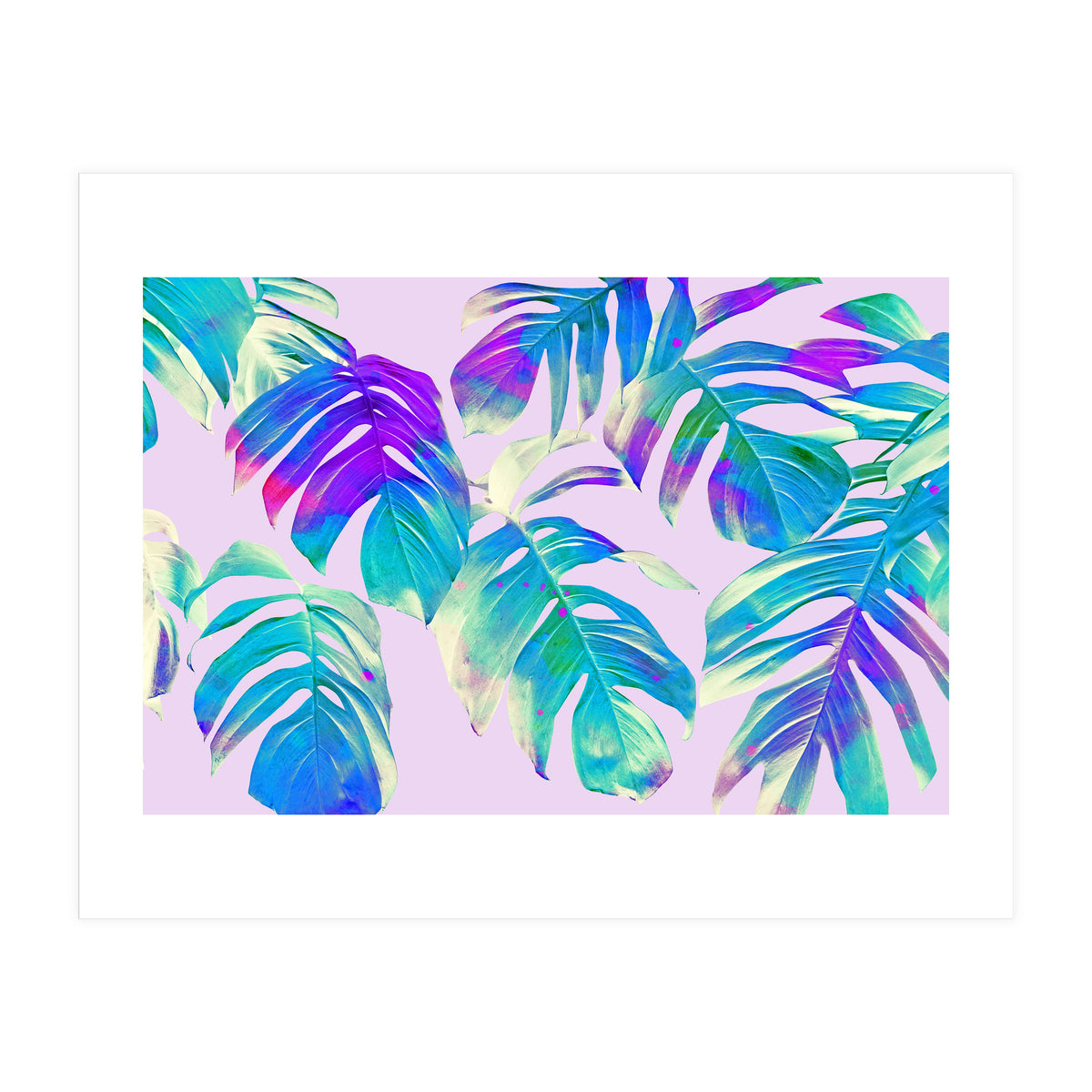 Monstera Leaves (Print Only)