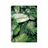 Life Is Better With Palm Trees (Print Only) thumbnail