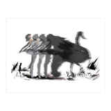 The Black Swan (Print Only) thumbnail