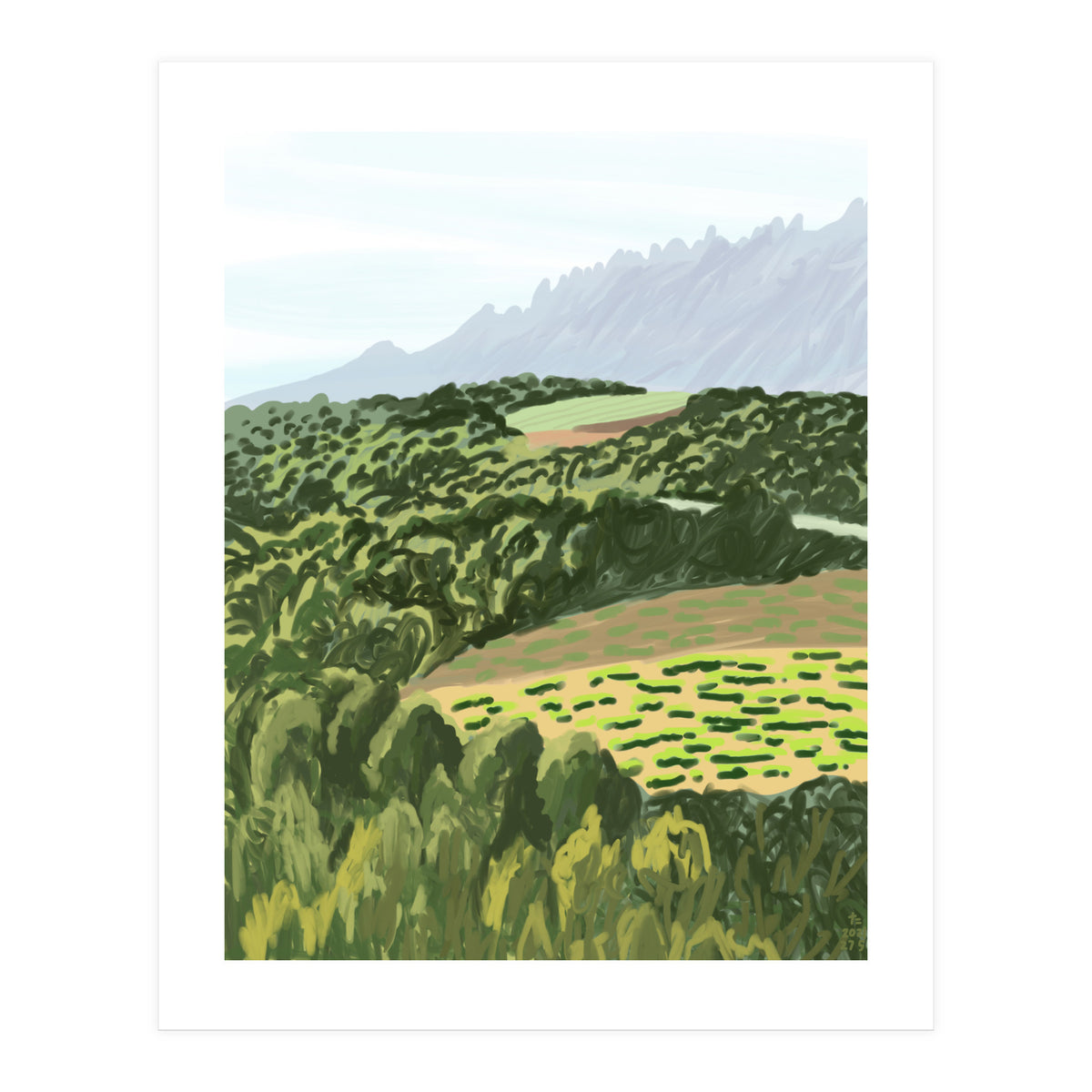 Morning Sunlight (Print Only)