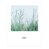 Friendly escape - Nature Photography - (Print Only) thumbnail