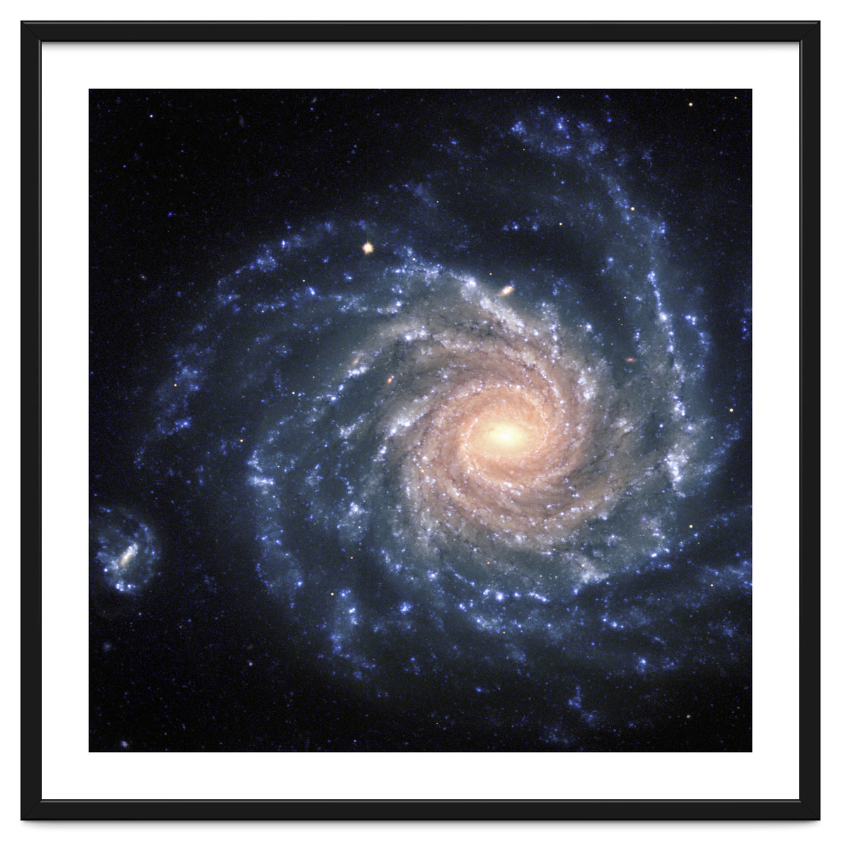 Spiral Galaxy NGC 1232