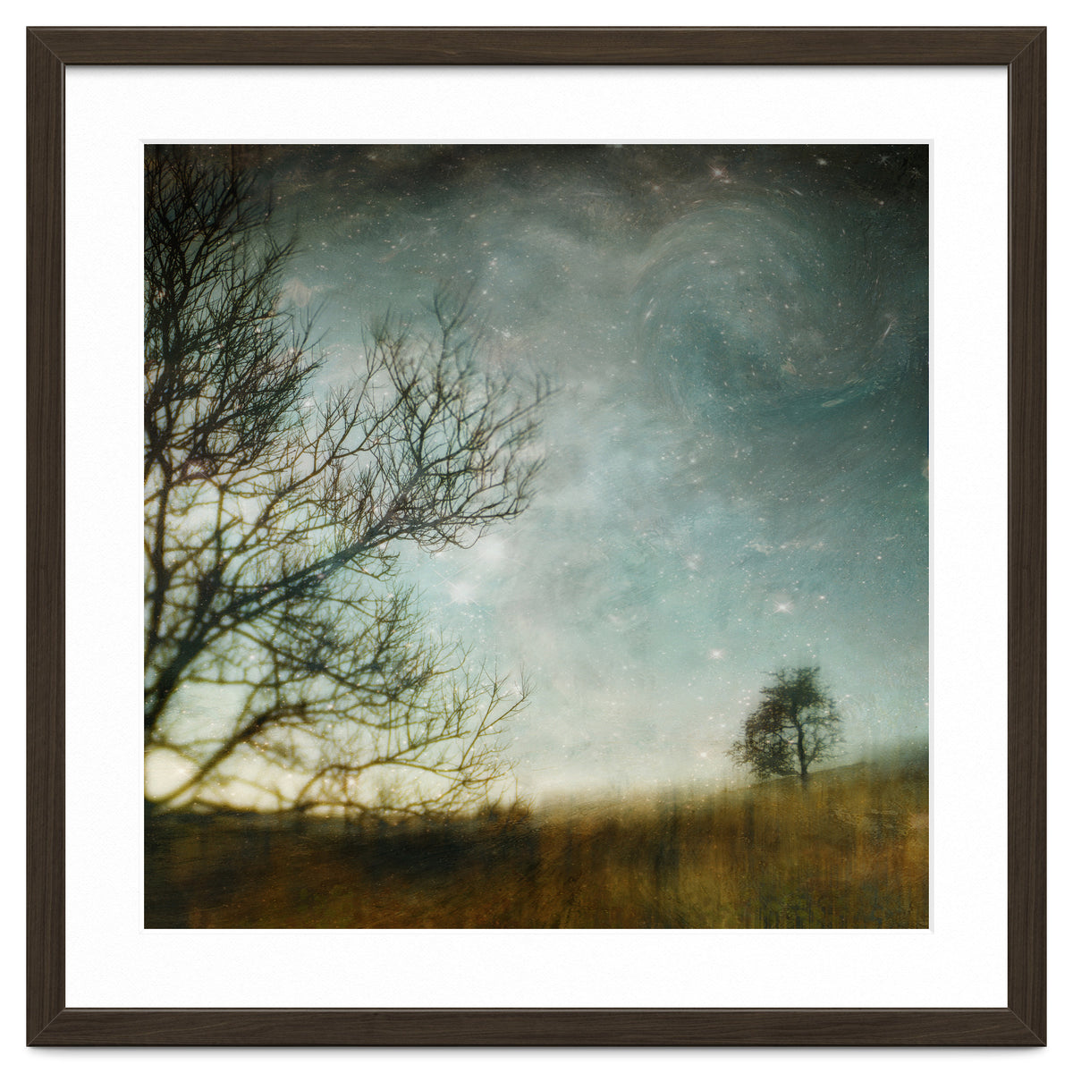 The Tree That Whispered