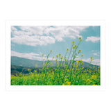 Flowers (Print Only) thumbnail