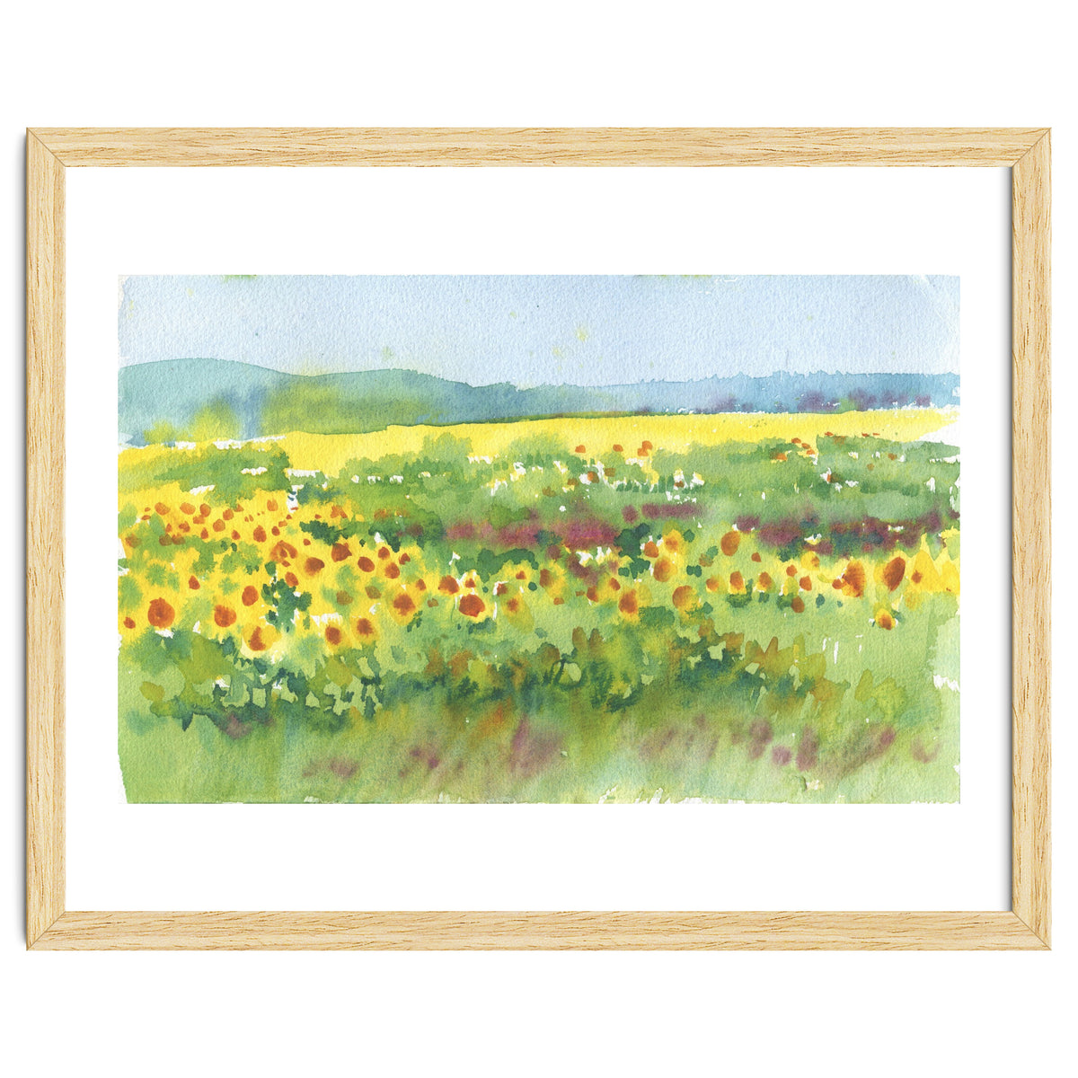 Sunflowers field