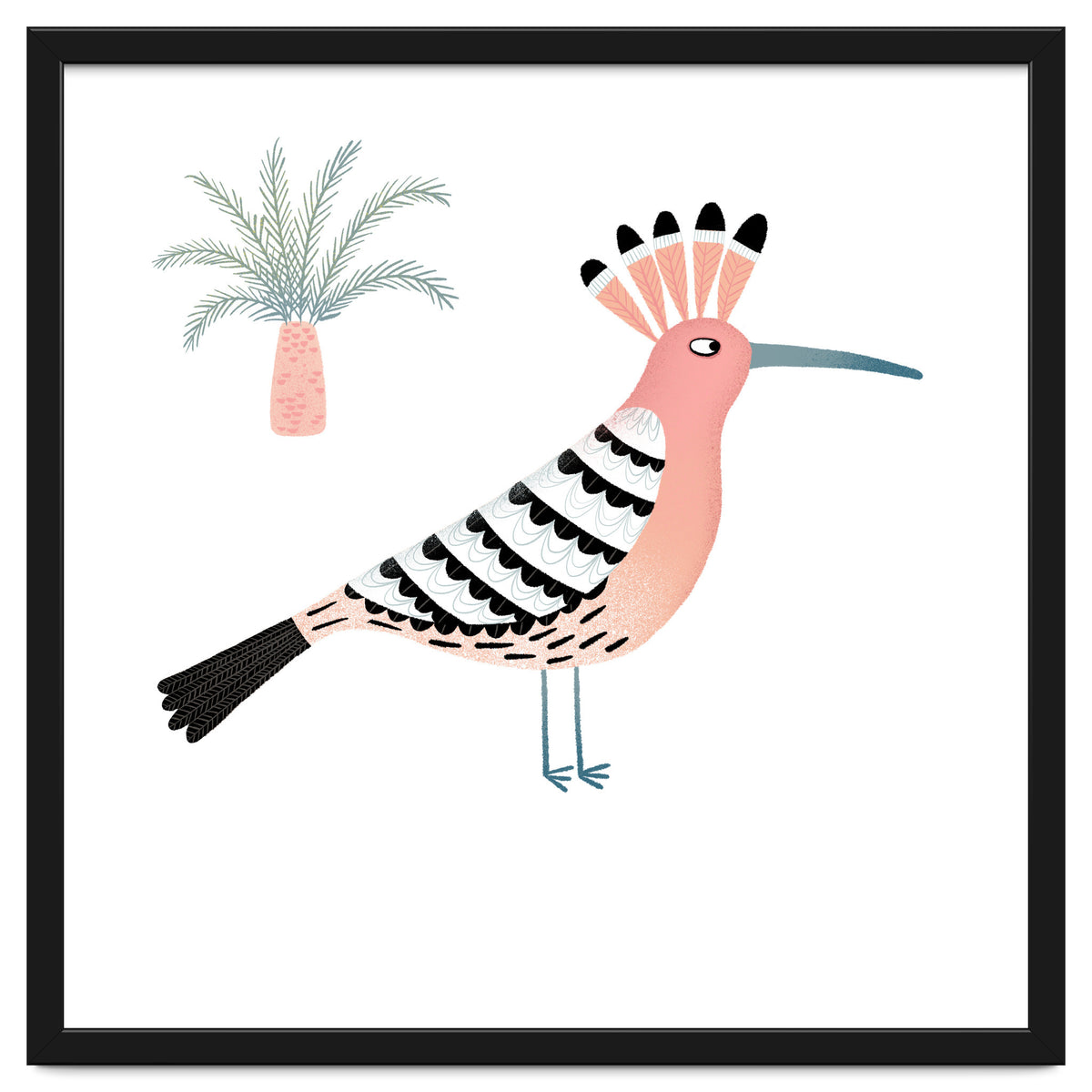 Hoopoe