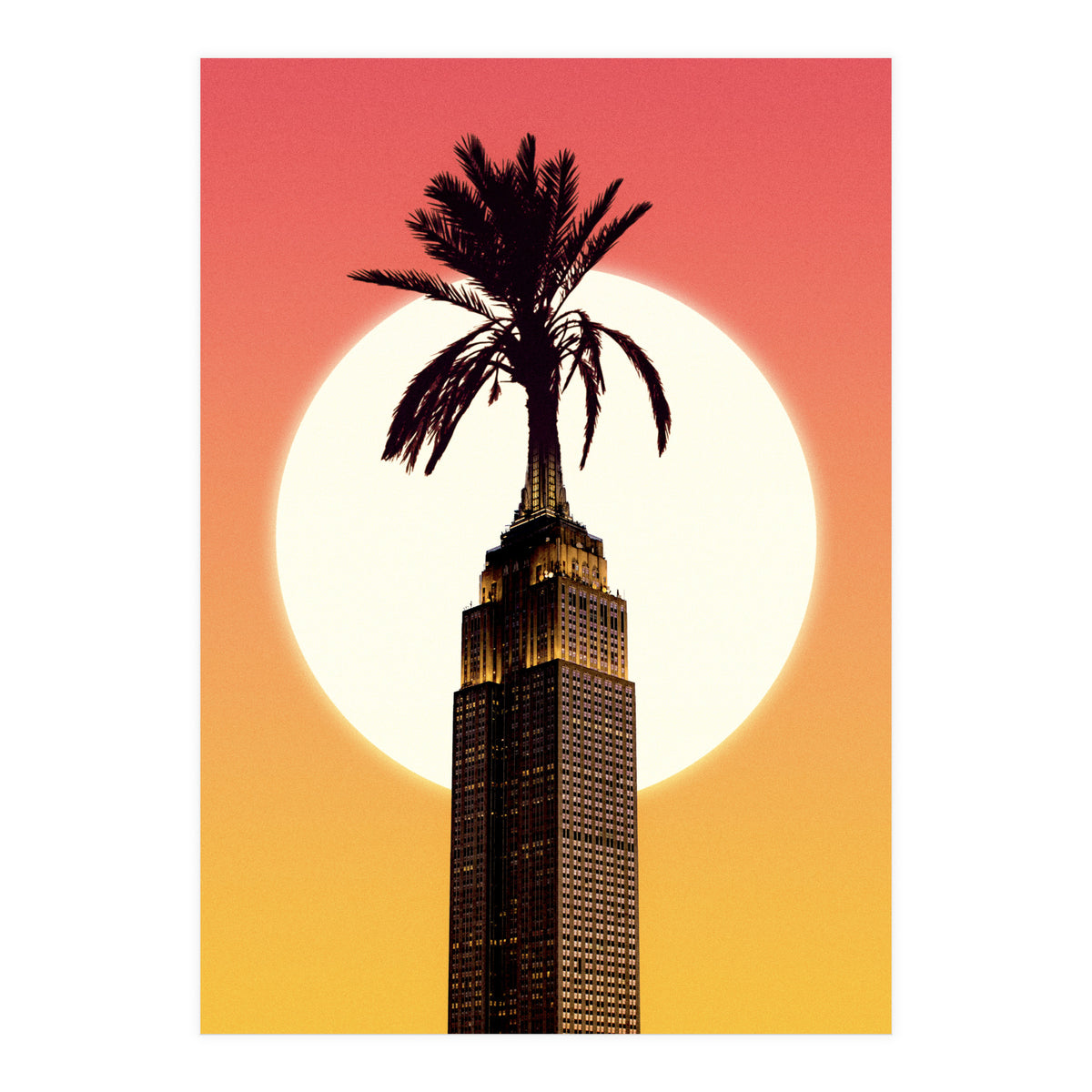 Palm City (Print Only)