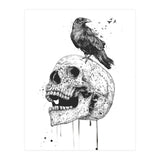 New Skull (bw) (Print Only) thumbnail