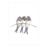 Three young swallows (Print Only) thumbnail