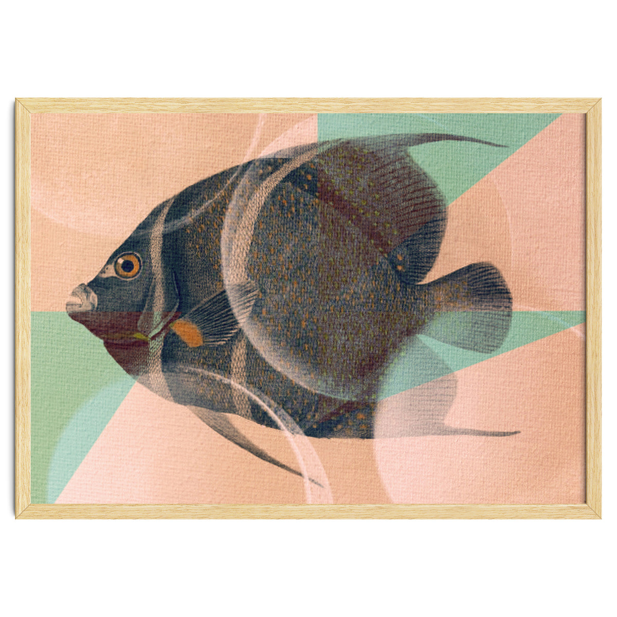 Fish Between Circles 2