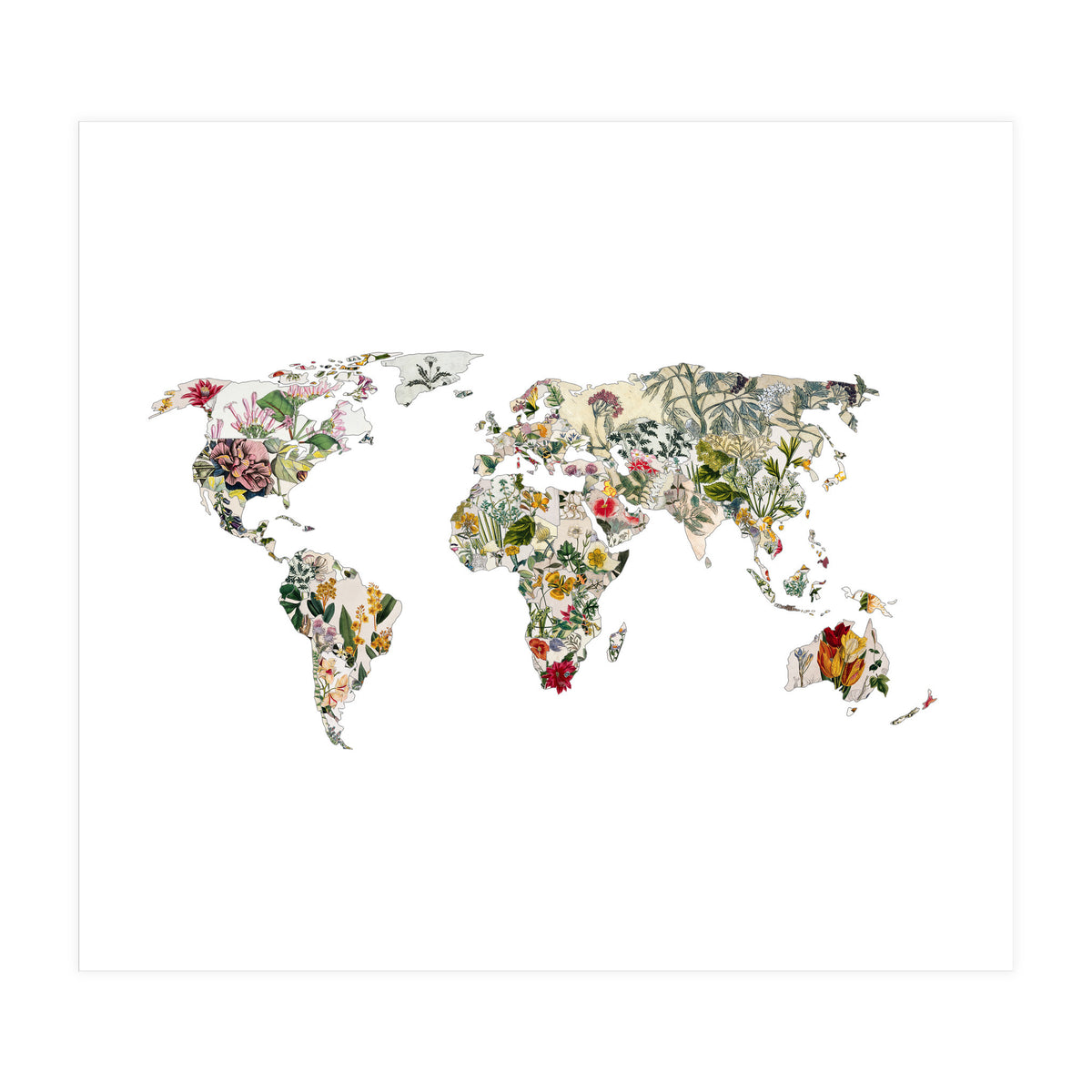 Vintage Botanical Map (Print Only)