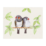 Sweet couple of zebra finches (Print Only) thumbnail
