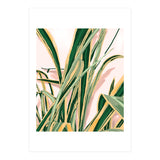 Blush Botanical Unfolding (Print Only) thumbnail