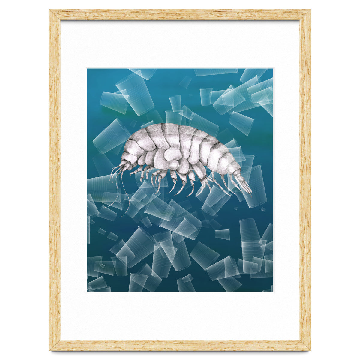 Eurythenes Plasticus